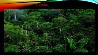 CLIMA
 