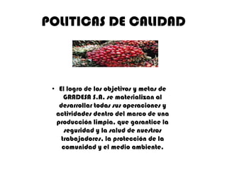 POLITICAS DE CALIDAD

• El logro de los objetivos y metas de
GRADESA S.A. se materializan al
desarrollar todas sus operaciones y
actividades dentro del marco de una
producción limpia, que garantice la
seguridad y la salud de nuestros
trabajadores, la protección de la
comunidad y el medio ambiente.

 