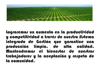 Lograremos un aumento en la productividad
y competitividad a través de nuestro Sistema
integrado de Gestión que garantice una
producción limpia, de alta calidad.
Mantendremos el bienestar de nuestros
trabajadores y la aceptación y respeto de
la comunidad.

 