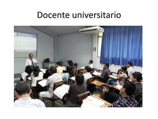 Docente universitario
 