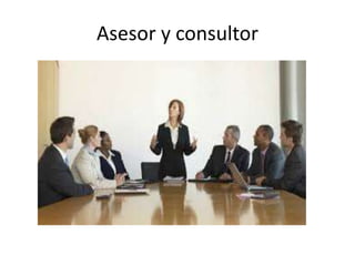 Asesor y consultor
 