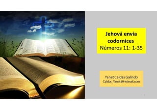  Números 11: 1-35 Jehová envía codornices 