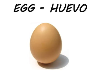 EGG - HUEVO
 