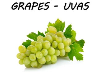 GRAPES - UVAS
 