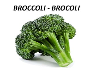 BROCCOLI - BROCOLI
 