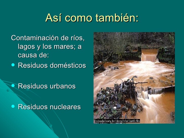 Los Daños al Medio Ambiente