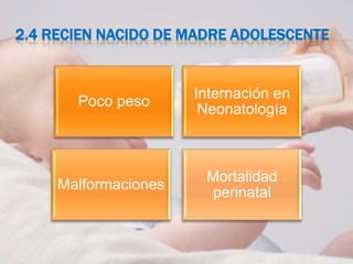 2.4 RECIEN NACIDO DE MADRE ADOLESCENTE


                      Internación en
       Poco peso
                       Neonatología



                       Mortalidad
     Malformaciones
                       perinatal
 
