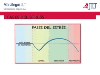 FASES DEL STRESS
 