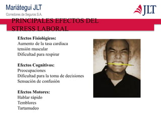 PRINCIPALES EFECTOS DEL
STRESS LABORAL
Efectos Fisiológicos:
Aumento de la tasa cardíaca
tensión muscular
Dificultad para respirar
Efectos Cognitivos:
Preocupaciones
Dificultad para la toma de decisiones
Sensación de confusión
Efectos Motores:
Hablar rápido
Temblores
Tartamudeo
 
