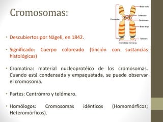 Cromosomas:
• Descubiertos por Nägeli, en 1842.
• Significado: Cuerpo coloreado (tinción con sustancias
histológicas)
• Cromatina: material nucleoprotéico de los cromosomas.
Cuando está condensada y empaquetada, se puede observar
el cromosoma.
• Partes: Centrómro y telómero.
• Homólogos: Cromosomas idénticos (Homomórficos;
Heteromórficos).
 
