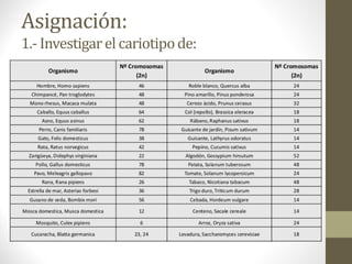 Asignación:
1.- Investigarel cariotipode:
 