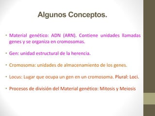 Algunos Conceptos.
• Material genético: ADN (ARN). Contiene unidades llamadas
genes y se organiza en cromosomas.
• Gen: unidad estructural de la herencia.
• Cromosoma: unidades de almacenamiento de los genes.
• Locus: Lugar que ocupa un gen en un cromosoma. Plural: Loci.
• Procesos de división del Material genético: Mitosis y Meiosis
 