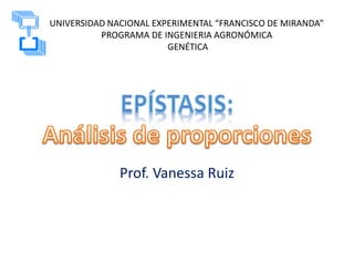 Prof. Vanessa Ruiz
UNIVERSIDAD NACIONAL EXPERIMENTAL “FRANCISCO DE MIRANDA”
PROGRAMA DE INGENIERIA AGRONÓMICA
GENÉTICA
 