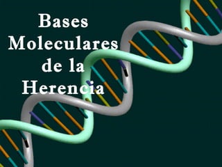 Bases
Moleculares
   de la
 Herencia
 