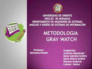 METODOLOGIA
GRAY WATCH
 