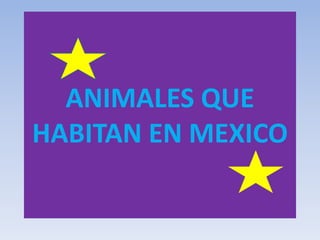 ANIMALES QUE
HABITAN EN MEXICO
 