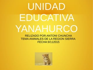 UNIDAD
EDUCATIVA
YANAHURCORELIZADO POR:ANTONI CHUNCHA
TEMA:ANIMALES DE LA REGION SIERRA
FECHA:9/112015
 