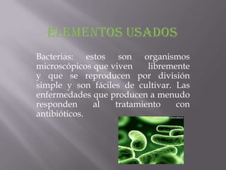 Bacterias: estos son organismos
microscópicos que viven    libremente
y que se reproducen por división
simple y son fáciles de cultivar. Las
enfermedades que producen a menudo
responden     al   tratamiento    con
antibióticos.
 