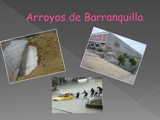 Arroyos de Barranquilla