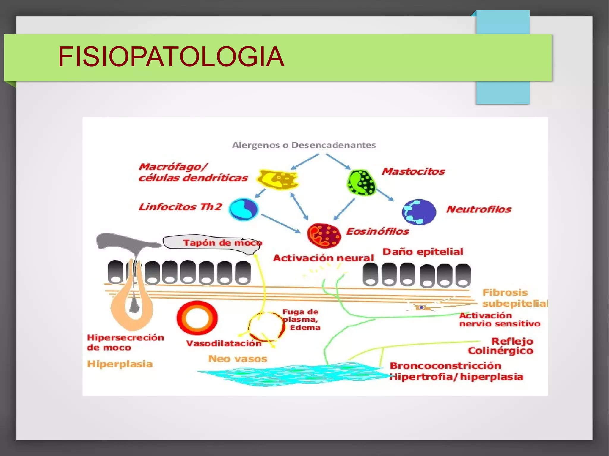 FISIOPATOLOGIA