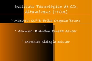 Instituto Tecnológico de CD.
Altamirano (ITCA)
• Maestra: Q.F.B Erika Oropeza Bruno
•
• Alumno: Brandon Pineda Alvear
• Materia: Biología celular
 