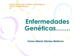 Enfermedades Genéticas……. Carlos Alberto Sánchez Malfavòn Centro de estudios científico y tecnológicos Carlos Vallejo Márquez  10 