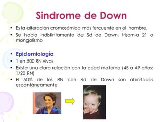Sindrome de Down Es la alteración cromosómica más fercuente en el  hombre. Se habla indistintamente de Sd de Down, trisomia 21 o mongolismo Epidemiología 1 en 500 RN vivos Existe una clara relación con la edad materna (45 a 49 años: 1/20 RN) El 50% de los RN con Sd de Down son abortados espontáneamente 