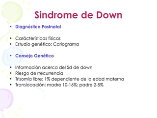 Sindrome de Down Diagnóstico Postnatal Carácterísticas físicas Estudio genético: Cariograma Consejo Genético Información acerca del Sd de down Riesgo de rrecurrencia Trisomía libre: 1% dependiente de la edad materna Translocación: madre 10-16%; padre 2-5% 