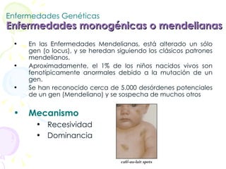 Enfermedades Genéticas Enfermedades monogénicas o mendelianas   En las Enfermedades Mendelianas, está alterado un sólo gen (o locus), y se heredan siguiendo los clásicos patrones mendelianos.  Aproximadamente, el 1% de los niños nacidos vivos son fenotípicamente anormales debido a la mutación de un gen.  Se han reconocido cerca de 5.000 desórdenes potenciales de un gen (Mendeliano) y se sospecha de muchos otros Mecanismo Recesividad Dominancia 