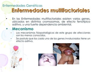 Enfermedades Genéticas Enfermedades multifactoriales En las Enfermedades multifactoriales existen varios genes, ubicados en distintos cromosomas, de efecto fenotípico aditivo, y una fuerte dependencia ambiental. Mecanismo Los mecanismos fisiopatológicos de este grupo de afecciones son los menos conocidos.  Se postula que los cada uno de los genes involucrados tiene un efecto aditivo. 