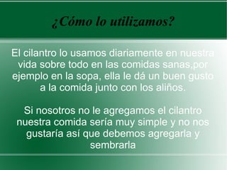 ¿Cómo lo utilizamos?
El cilantro lo usamos diariamente en nuestra
vida sobre todo en las comidas sanas,por
ejemplo en la sopa, ella le dá un buen gusto
a la comida junto con los aliños.
Si nosotros no le agregamos el cilantro
nuestra comida sería muy simple y no nos
gustaría así que debemos agregarla y
sembrarla
 