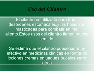 Uso del Cilantro
El cilantro es utilizado para tratar
desórdenes estomacales,y las hojas son
masticadas para combatir en mal
aliento.Estos usos del cilantro tienen mucho
sentido.
Se estima que el cilantro puede ser muy
efectivo en medicinas clínicas en forma de
lociones,cremas,enjuagues bucales entre
otros
 