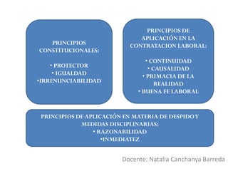 Docente: Natalia Canchanya Barreda
PRINCIPIOS
CONSTITUCIONALES:
• PROTECTOR
• IGUALDAD
•IRRENUNCIABILIDAD
PRINCIPIOS DE
APLICACIÓN EN LA
CONTRATACION LABORAL:
• CONTINUIDAD
• CAUSALIDAD
• PRIMACIA DE LA
REALIDAD
• BUENA FE LABORAL
PRINCIPIOS DE APLICACIÓN EN MATERIA DE DESPIDOY
MEDIDAS DISCIPLINARIAS:
• RAZONABILIDAD
•INMEDIATEZ
 