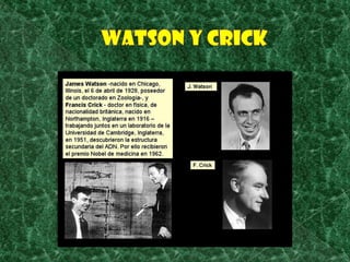 WATSON Y CRIck