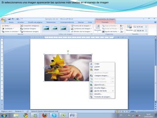 Si seleccionamos una imagen aparecerán las opciones más usadas en el manejo de imagen