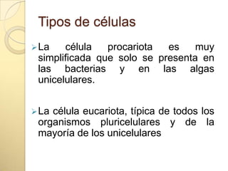 Tipos de células
 La   célula   procariota  es    muy
 simplificada que solo se presenta en
 las bacterias y en las algas
 unicelulares.


 Lacélula eucariota, típica de todos los
 organismos pluricelulares y de la
 mayoría de los unicelulares
 