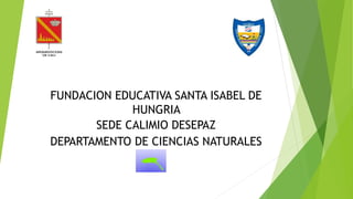 FUNDACION EDUCATIVA SANTA ISABEL DE
HUNGRIA
SEDE CALIMIO DESEPAZ
DEPARTAMENTO DE CIENCIAS NATURALES
 