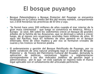    Bosque Paleontológico y Bosque Protector del Puyango se encuentra
    localizado en la Cuenca media del Río del mismo nombre, compartiendo
    sus 2.658 hectáreas las provincias de El Oro y Loja.

   “Se formó hace unos 300 millones de años cuando el mar interior de la
    gran masa continental – que luego se convertiría en América, África y
    Europa- se secó. Allí sobre los sedimentos creció un bosque de grandes
    árboles de la familia de las Araucarias, que se destruyó y volvió a crecer
    luego, de al menos seis erupciones ocurridas hace millones de años. El
    agua del Pacífico, hace 65 millones de años penetró en el bosque
    enterrado; llenó de sílice madera y por eso se formaron cristales de
    cuarzo y los troncos se hicieron piedra.

   El ordenamiento y gestión del Bosque Petrificado de Puyango, por su
    doble condición de área natural protegida bajo el estatuto de Bosques
    Protector y de Tesoro del Patrimonio Cultural del Ecuador, demanda la
    aplicación de políticas, normativas legales y reglamentarias
    correspondiente a los dos indicados ámbitos de gestión legal y
    administrativa; por lo que en este capítulo se registra todo el marco
    legal aplicable con el señalamiento del articulado pertinente.
 