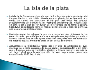    La Isla de la Plata es considerada uno de los lugares más importantes del
    Parque Nacional Machalilla. Desde épocas prehistóricas fue utilizada
    como un centro de adoración al sol por casi todas las culturas
    precolombinas así demuestra los vestigios arqueológicos encontrados
    en este lugar y por ser un lugar de intercambio de la famosa concha
    Spondylus considerada como el manjar de los dioses y moneda primitiva
    por las culturas prehispánicas.

   Posteriormente fue refugio de piratas y corsarios que utilizaron la isla
    como base de operación para atacar a los galeones españoles parte de la
    historia afirma que en sus aguas quedaron arrojadas muchas toneladas
    de metales espacialmente de plata de allí deriva su nombre.

   Actualmente la importancia radica por ser sitio de anidación de aves
    marinas tales como piqueros de patas azules, enmascarados y de patas
    rojas, fragatas, pájaros tropicales, albatros y leones marinos, además de
    ser lugar ideal para la reproducción de aves migratorias: posee una
    extensión de 1200 hectáreas.
 