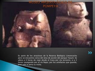 MUSEO ARQUEOLÓGICO DE
                  POMPEYA




Es parte de los atractivos de la Reserva Biológica Limoncocha
pero se encuentra cerca del área de acción del parque Yasuni. Se
ubica a 4 horas de viaje desde el Coca por vía terrestre, o a 2
horas navegando por el río Napo; por los artefactos que guarda,
bien vale la pena su visita.
 