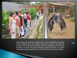 EL PARQUE ACUÁTICO MORETE
               PUYO




Este parque de diversión familiar basa en las actividades acuáticas
toda su infraestructura. se encuentra ubicado en el Barrio Libertad de la
ciudad de Puyo. El parque acuático posee los toboganes mas altos del
Ecuador, así como una piscina olímpica, piscina de Olas, con última
tecnología, juegos acuáticos para niños así como piscina para infantes.
 