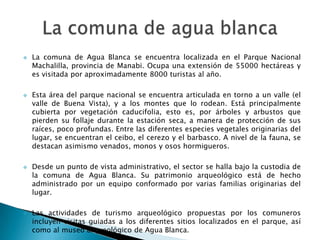    La comuna de Agua Blanca se encuentra localizada en el Parque Nacional
    Machalilla, provincia de Manabi. Ocupa una extensión de 55000 hectáreas y
    es visitada por aproximadamente 8000 turistas al año.

   Esta área del parque nacional se encuentra articulada en torno a un valle (el
    valle de Buena Vista), y a los montes que lo rodean. Está principalmente
    cubierta por vegetación caducifolia, esto es, por árboles y arbustos que
    pierden su follaje durante la estación seca, a manera de protección de sus
    raíces, poco profundas. Entre las diferentes especies vegetales originarias del
    lugar, se encuentran el ceibo, el cerezo y el barbasco. A nivel de la fauna, se
    destacan asimismo venados, monos y osos hormigueros.

   Desde un punto de vista administrativo, el sector se halla bajo la custodia de
    la comuna de Agua Blanca. Su patrimonio arqueológico está de hecho
    administrado por un equipo conformado por varias familias originarias del
    lugar.

   Las actividades de turismo arqueológico propuestas por los comuneros
    incluyen visitas guiadas a los diferentes sitios localizados en el parque, así
    como al museo arqueológico de Agua Blanca.
 