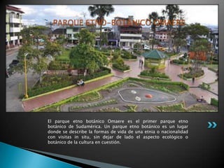PARQUE ETNO-BOTÁNICO OMAERE




El parque etno botánico Omaere es el primer parque etno
botánico de Sudamérica. Un parque etno botánico es un lugar
donde se describe la formas de vida de una etnia o nacionalidad
con visitas in situ, sin dejar de lado el aspecto ecológico o
botánico de la cultura en cuestión.
 
