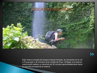 CASCADA HOLA VIDA




Esta reserva privada de bosque tropical húmedo, se encuentra en la vía
a Puyupungo a 30 minutos de la ciudad de Puyo. Al llegar a la reserva,
usted podrá realizar un recorrido de 30 minutos aproximadamente hacia
la cascada principal de la reserva.
 