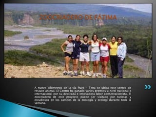 ZOOCRIADERO DE FÁTIMA




A nueve kilómetros de la vía Puyo – Tena se ubica este centro de
rescate animal. El Centro ha ganado varios premios a nivel nacional e
internacional por su dedicada e innovadora labor conservacionista. El
zoocriadero de este proyecto puede ser visitado por turistas y
estudiosos en los campos de la zoología y ecologí durante toda la
semana.
 