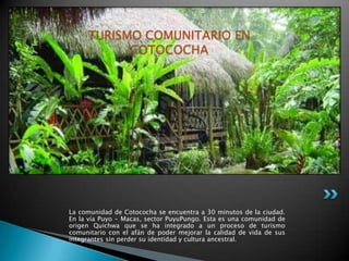 TURISMO COMUNITARIO EN
           COTOCOCHA




La comunidad de Cotococha se encuentra a 30 minutos de la ciudad.
En la vía Puyo - Macas, sector PuyuPungo. Esta es una comunidad de
origen Quichwa que se ha integrado a un proceso de turismo
comunitario con el afán de poder mejorar la calidad de vida de sus
integrantes sin perder su identidad y cultura ancestral.
 