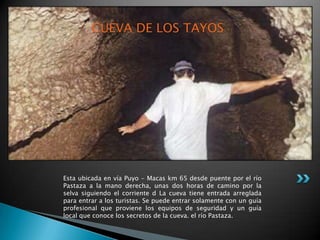 CUEVA DE LOS TAYOS




Esta ubicada en vía Puyo - Macas km 65 desde puente por el río
Pastaza a la mano derecha, unas dos horas de camino por la
selva siguiendo el corriente d La cueva tiene entrada arreglada
para entrar a los turistas. Se puede entrar solamente con un guía
profesional que proviene los equipos de seguridad y un guía
local que conoce los secretos de la cueva. el río Pastaza.
 