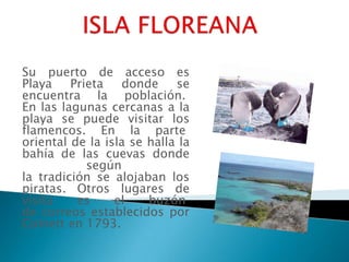 Su puerto de acceso es
Playa    Prieta   donde     se
encuentra la población.
En las lagunas cercanas a la
playa se puede visitar los
flamencos. En la parte
oriental de la isla se halla la
bahía de las cuevas donde
            según
la tradición se alojaban los
piratas. Otros lugares de
visita    es     el    buzón
de correos establecidos por
Colnett en 1793.
 