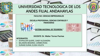 UNIVERSIDAD TECNOLOGICA DE LOS
ANDES FILIAL ANDAHAYLAS
FACULTAD :CIENCIAS EMPRESARIALES
ESCUELA PROFESIONAL:CIENCIAS CONTABLES Y
FINANCIERAS
“SISTEMA NACIONAL DE TESORERIA ”
DOCENTE: Dr. Walter Torres Pachas
INTEGRANTES:
• SIVIPAUCAR QUISPE, CANDY ALEXANDRA
• BALANDRA MESARES, CARMEN ROSA
• DURAND DURAN, ELSSA VIOLETA
 