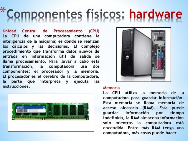 Componentes físicos y lógicos del computador